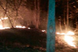 Due to human intervention in the forest? | मानवी हस्तक्षेपामुळेच जंगलात वणवा ?