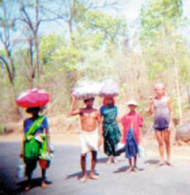 The Leuquette auctioned only look | तेंदूपत्त्याचा लिलाव केवळ देखावा