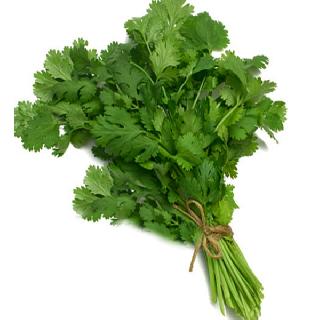 Cilantro 50 rupee pair | कोथिंबीर ५० रुपये जुडी