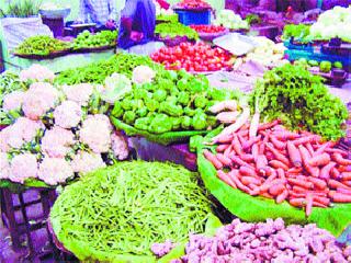 Vegetable crop rains in summer | भाजीपाला पिकाला उन्हाचा तडाखा