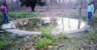 Chaprala Sanctuary through Solar Energy is free of tankers | सौरऊर्जेच्या माध्यमातून चपराळा अभयारण्य टँकरमुक्त Chaprala Sanctuary through Solar Energy is free of tankers | सौरऊर्जेच्या माध्यमातून चपराळा अभयारण्य टँकरमुक्त