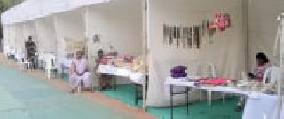 The situation of the women of the savings group in 'Palas' | ‘पलास’मध्ये बचत गटाच्या महिलांचे हाल The situation of the women of the savings group in 'Palas' | ‘पलास’मध्ये बचत गटाच्या महिलांचे हाल