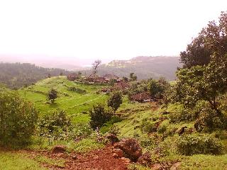 Dhankarwadi water from God's mountain, water shortage-free | देवाचा डोंगर धनगरवाडी पाणीटंचाई मुक्त