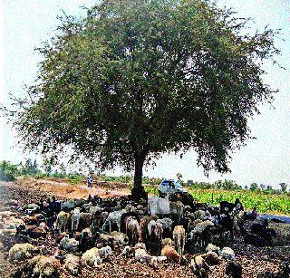 The district was heated! | जिल्हा तापला! The district was heated! | जिल्हा तापला!