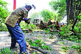 Kurhad to fall on 150 trees | १५० वृक्षांवर कोसळणार कुऱ्हाड