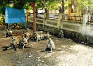 Bap rah Dad Headache: | बाप रे बाप डोक्याला ताप : Bap rah Dad Headache: | बाप रे बाप डोक्याला ताप :