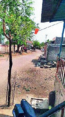 Hedgehog farmer due to cloudy, hot climate | ढगाळ, उष्ण वातावरणामुळे शेतकरी हवालदिल