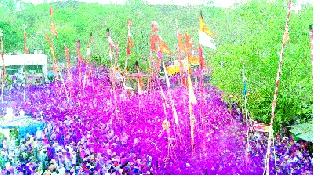 Mountaineering | डोंगरमाथा गुलालात न्हाला Mountaineering | डोंगरमाथा गुलालात न्हाला