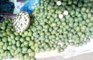 Caires Green: | कैैऱ्यांची हिरवाई : Caires Green: | कैैऱ्यांची हिरवाई :