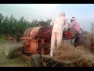 Traditional, modern ... | शेतीत पारंपरिक, आधुनिकतेचा संगम... Traditional, modern ... | शेतीत पारंपरिक, आधुनिकतेचा संगम...