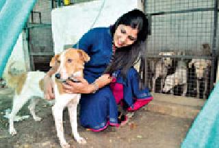 The rightful place for wandering dogs | भटक्या श्वानांसाठी हक्काचा निवारा