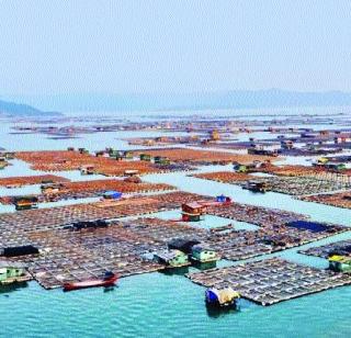 People who build houses on the ocean | समुद्रावरच घर बांधून राहाणारे लोक People who build houses on the ocean | समुद्रावरच घर बांधून राहाणारे लोक