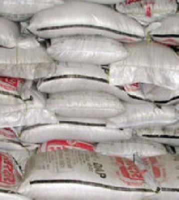 If there is no support, then there is no fertilizer | आधार नसेल, तर खत नाही If there is no support, then there is no fertilizer | आधार नसेल, तर खत नाही