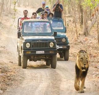 Unique Featuring Sanctuary | युनिक फील देणारी अभयारण्यं Unique Featuring Sanctuary | युनिक फील देणारी अभयारण्यं