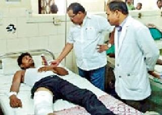 Heirchand will be treated in Nagpur | हिराचंदवर नागपुरात होणार उपचार Heirchand will be treated in Nagpur | हिराचंदवर नागपुरात होणार उपचार