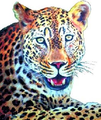 The goat killed in a leopard attack in Tatori | चाटोरी येथे बिबट्याच्या हल्ल्यात शेळी ठार The goat killed in a leopard attack in Tatori | चाटोरी येथे बिबट्याच्या हल्ल्यात शेळी ठार