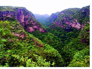 Western Ghat development program rolled down | पश्चिम घाट विकास कार्यक्रम गुंडाळला