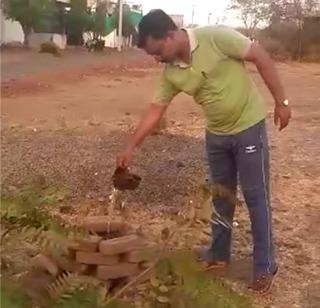 VIDEO: Father-guide initiatives for tree-planting | VIDEO : वृक्षसंवर्धनासाठी बाप-लेकाचा पुढाकार