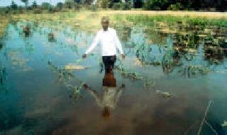 The left canal water of the Upper Penganga Project came under the farmers' farm in Brahman Nagar, causing huge losses in wheat, turmeric and sugarcane crops. | ऊर्ध्व पैनगंगा प्रकल्पाच्या डाव्या कालव्याचे पाणी ब्राह्मणगाव येथील शेतकऱ्यांच्या शेतात शिरल्याने गहू, हळद आणि ऊस पिकांचे मोठे नुकसान झाले The left canal water of the Upper Penganga Project came under the farmers' farm in Brahman Nagar, causing huge losses in wheat, turmeric and sugarcane crops. | ऊर्ध्व पैनगंगा प्रकल्पाच्या डाव्या कालव्याचे पाणी ब्राह्मणगाव येथील शेतकऱ्यांच्या शेतात शिरल्याने गहू, हळद आणि ऊस पिकांचे मोठे नुकसान झाले