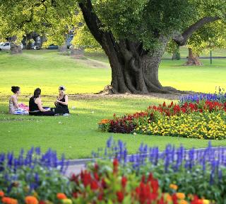 'Picnic' Seasoned Citizen! | ‘सहल’ सीनिअर सीटीझन्सची ! 'Picnic' Seasoned Citizen! | ‘सहल’ सीनिअर सीटीझन्सची !