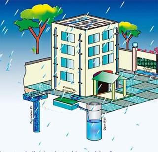 Underground life | जमिनीखालचे जीवन Underground life | जमिनीखालचे जीवन