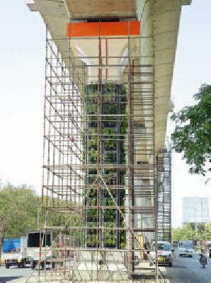 The vertical garden on the metro pillar | मेट्रोच्या पिलरवर व्हर्टिकल गार्डन