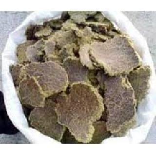 Animal feeding rate came to the Ganga! | पशू खाद्याचे दर भिडले गगणाला! Animal feeding rate came to the Ganga! | पशू खाद्याचे दर भिडले गगणाला!