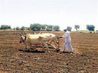 Planning of Kharif on seven lakh hectares | सात लाख हेक्टरवर खरिपाचे नियोजन