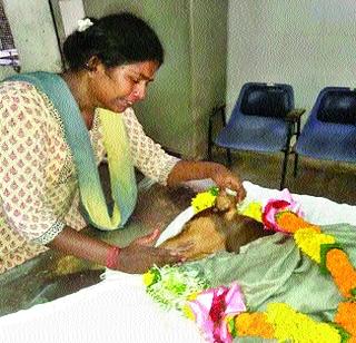 The breath of life by the dog to save the owner in Antop Hill | अॅण्टॉप हिलमध्ये मालकिणीला वाचवण्यासाठी श्वानाने लावली प्राणांची बाजी The breath of life by the dog to save the owner in Antop Hill | अॅण्टॉप हिलमध्ये मालकिणीला वाचवण्यासाठी श्वानाने लावली प्राणांची बाजी