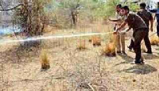 Banyan bolls took abdominal stomach | बियाणी चौकामागील झुडपांनी घेतला पेट