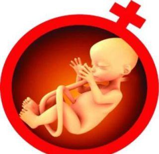 In Maharashtra, the decline in the birth of the bride, the birth of girls | महाराष्ट्रात वंशाला दिवाच, मुलींच्या जन्मदरात घट In Maharashtra, the decline in the birth of the bride, the birth of girls | महाराष्ट्रात वंशाला दिवाच, मुलींच्या जन्मदरात घट