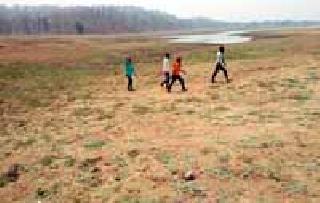 The Irrigation Department has repaired the lake | तलावाच्या दुरूस्तीत सिंचन विभागाने मारली मेख The Irrigation Department has repaired the lake | तलावाच्या दुरूस्तीत सिंचन विभागाने मारली मेख