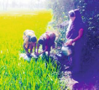 Water shortage: | पाणीटंचाई :