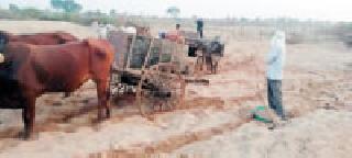 Nine barbands catching sand smugglers | रेतीची तस्करी करणाऱ्या नऊ बैलबंड्या पकडल्या Nine barbands catching sand smugglers | रेतीची तस्करी करणाऱ्या नऊ बैलबंड्या पकडल्या