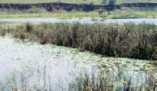 One project, two lakes dry | एक प्रकल्प, दोन तलाव कोरडे One project, two lakes dry | एक प्रकल्प, दोन तलाव कोरडे