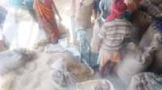 Even after the order of 22nd April, the purchase of Nafed has remained closed since 16th | २२ एप्रिलपर्यंतचा आदेश असतानाही नाफेडची तूर खरेदी १६ पासूनच बंद Even after the order of 22nd April, the purchase of Nafed has remained closed since 16th | २२ एप्रिलपर्यंतचा आदेश असतानाही नाफेडची तूर खरेदी १६ पासूनच बंद