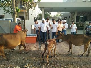 'Amritdhara' venture for thirsty | तहानलेल्यांसाठी ‘अमृतधारा’ उपक्रम