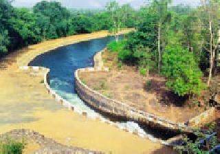 Summer irrigation will be four times this year | यावर्षी उन्हाळी सिंचनात होणार चारपटीने वाढ