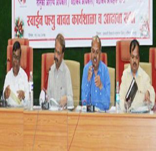 42 thousand cases of 'swine flu' examination | ४२ हजार रुग्णांची ‘स्वाईन फ्ल्यू’ तपासणी 42 thousand cases of 'swine flu' examination | ४२ हजार रुग्णांची ‘स्वाईन फ्ल्यू’ तपासणी