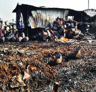 The chemicals caused fire | रसायनांमुळेच लागली आग The chemicals caused fire | रसायनांमुळेच लागली आग