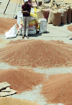 Center closed, two lakh grandchildren yard | केंद्र बंद, दोन लाख पोते यार्डात