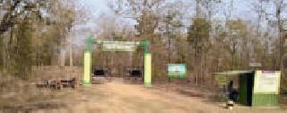 Tourist spots in Coca Wildlife Sanctuary | कोका वन्यजीव अभयारण्यात पर्यटकांची झुंबड Tourist spots in Coca Wildlife Sanctuary | कोका वन्यजीव अभयारण्यात पर्यटकांची झुंबड
