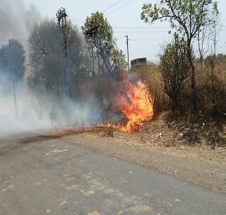 Fire to 'Transformer Box' | ‘ट्रॉन्सफॉर्मर बॉक्स’ला आग