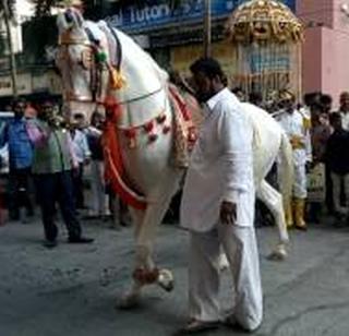 Before coming to Shubhamangal, you can take a Navarvala and take it with a horse | शुभमंगल होण्यापूर्वीच नवरदेवाला घेऊन घोड्याने ठोकली धूम