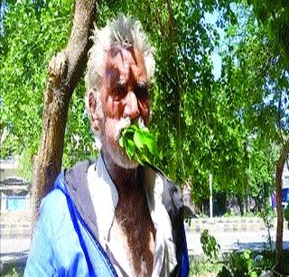 This Pakistani is alive for 25 years only to drink! | हा पाकिस्तानी २५ वर्षे जगतोय फक्त पाने खाऊन! This Pakistani is alive for 25 years only to drink! | हा पाकिस्तानी २५ वर्षे जगतोय फक्त पाने खाऊन!