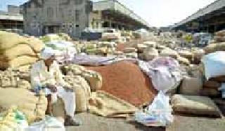 Tiger government 'dead' | तुरीवर सरकारी ‘मर’ Tiger government 'dead' | तुरीवर सरकारी ‘मर’