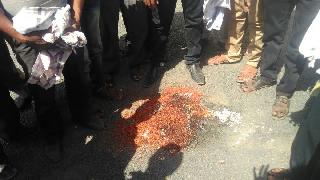 In Malegaon, in Tur Far Kali tehsil office | मालेगावात तूर फे कली तहसील कार्यालयात In Malegaon, in Tur Far Kali tehsil office | मालेगावात तूर फे कली तहसील कार्यालयात