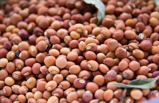 Order for inquiry of Tire purchase committee, merchant and broker | तूर खरेदीत समिती, व्यापारी, दलालांच्या चौकशीचे आदेश