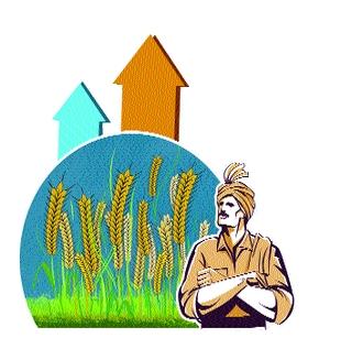Expected to be a record production of foodgrains this year | यंदा अन्नधान्याचे विक्रमी उत्पादन होण्याची अपेक्षा Expected to be a record production of foodgrains this year | यंदा अन्नधान्याचे विक्रमी उत्पादन होण्याची अपेक्षा