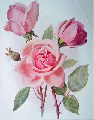 Floral | फ्लोरल Floral | फ्लोरल